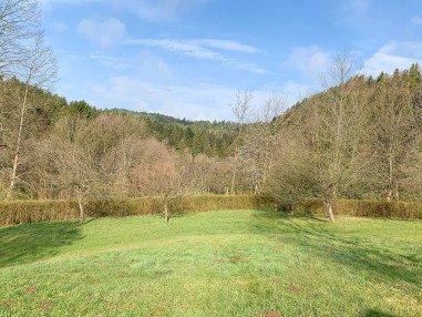 BG Fahrendorf Velden (10).jpg