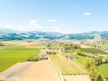 DJI_0017.jpg